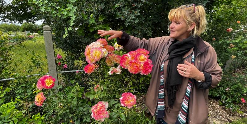La Roseraie de Morailles : un jardin unique près d'Orléans