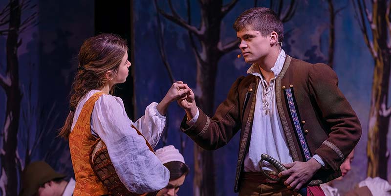 ''Le Grand Hiver'' à La Roche-sur-Yon