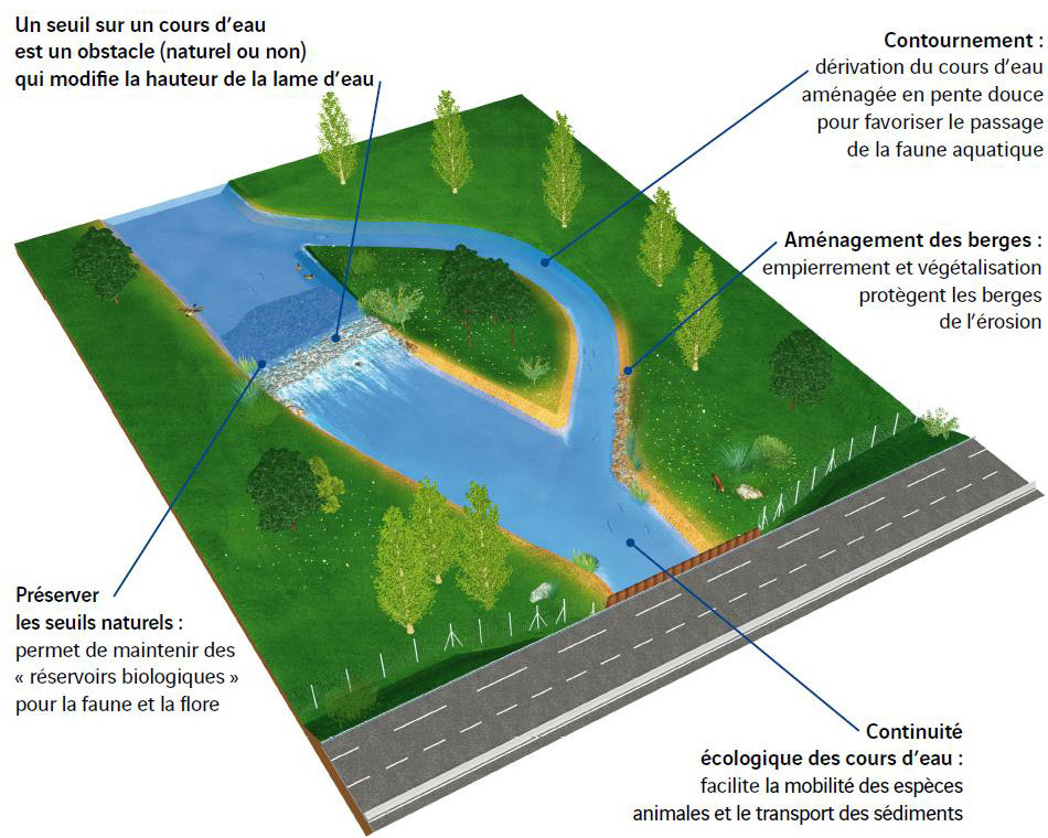 illustration de Aménager un cours d’eau aux abords de l'autoroute pour lui redonner vie