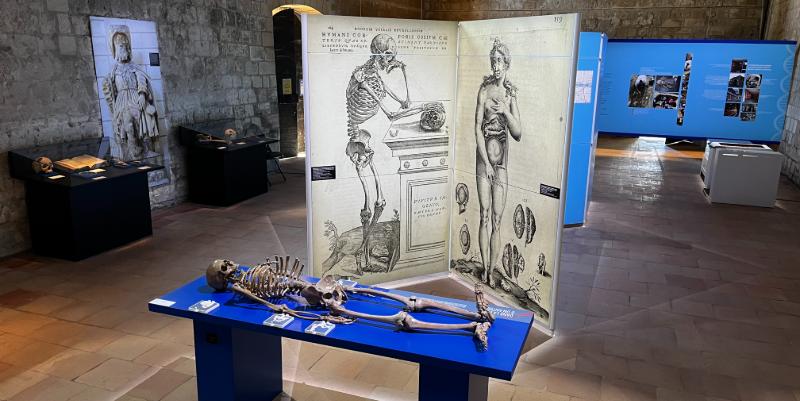 ''Soigner corps et âmes'' : une exposition immersive au prieuré Saint-Cosme près de Tours