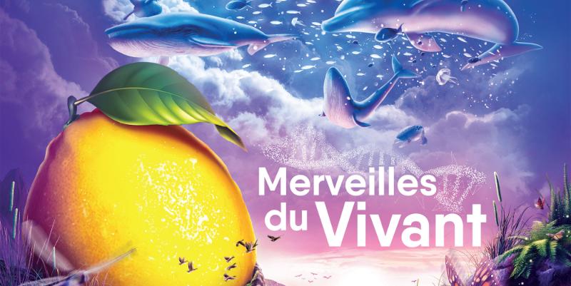 Menton - Fête du Citron 2026 : dates des corsos et circulation autour de la sortie n°59 de l'A8