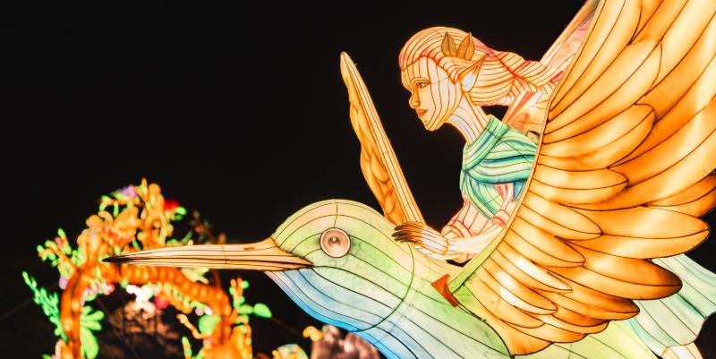 Au parc bordelais, la magie des lumières jusqu’au 11 janvier