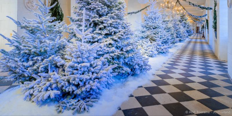 Noël féerique : 6 châteaux de Touraine dévoilent des scénographies spectaculaires