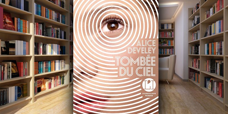 illustration de ''Tombée du ciel'' d'Alice Develey