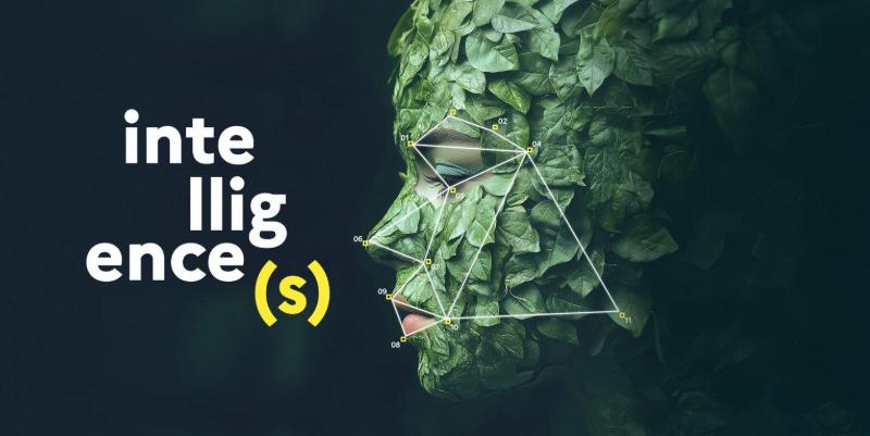 Fête de la Science : les intelligences à l'honneur partout en France