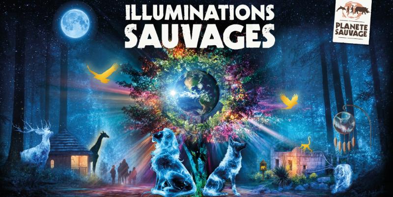 Près de Nantes, le parc Planète sauvage dévoile un nouveau parcours lumineux et sonore 