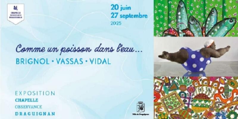 Fraîcheur à Draguignan avec l'expo "Comme un poisson dans l'eau''