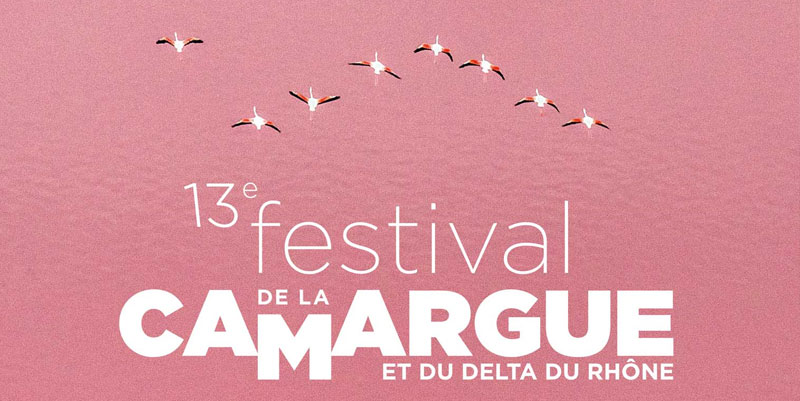 illustration de Le festival de la Camargue  