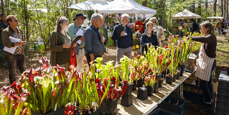 Les botaniques de Chaumont-sur-Loire
