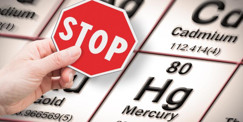 Cadmium, mercure : des métaux lourds dans notre alimentation