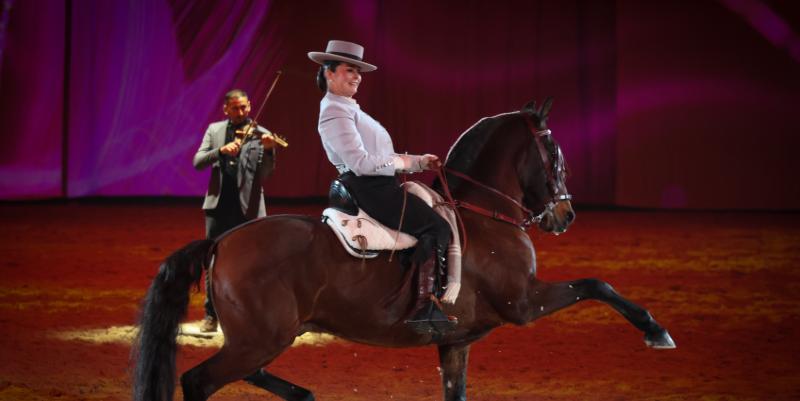 Cheval passion fête ses 40 ans à Avignon avec un gala exceptionnel
