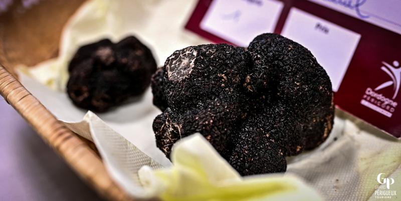 Voyage au coeur du diamant noir dans le Périgord