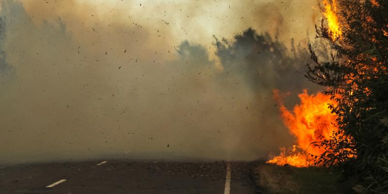 Mégots sur l’autoroute : prévention et solutions envisagées