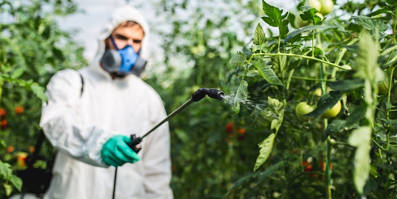 illustration de Les pesticides très présents dans nos aliments