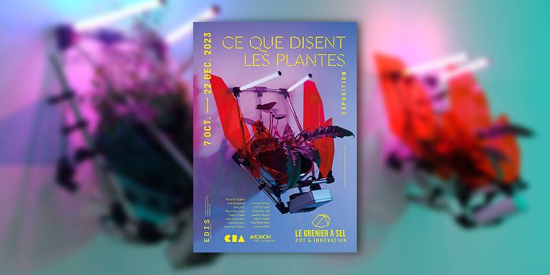 Arts et sciences se croisent à Avignon