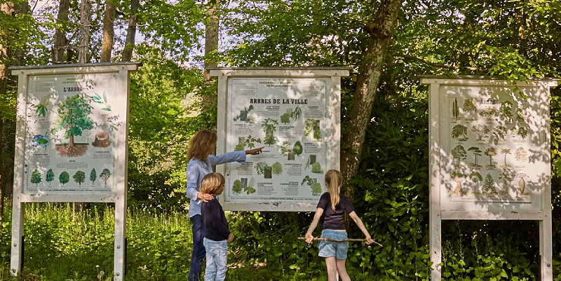 Festival de la Forêt et du Bois - Château Hôtel de la Bourdaisière