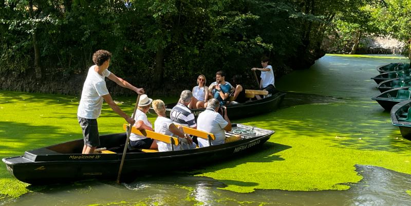 En barque dans le Marais Poitevin, immersion dans un paysage unique