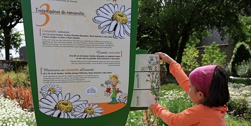 illustration de Le jardin Camifolia près d'Angers
