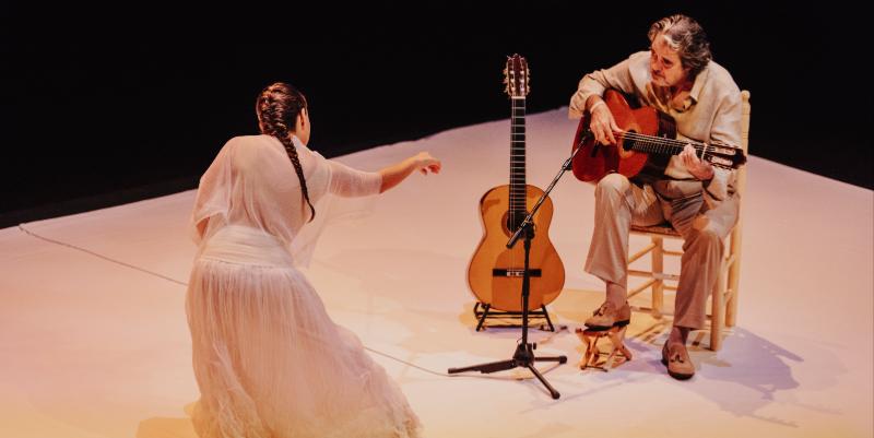 illustration de Nîmes au rythme du flamenco : 35 ans de passion