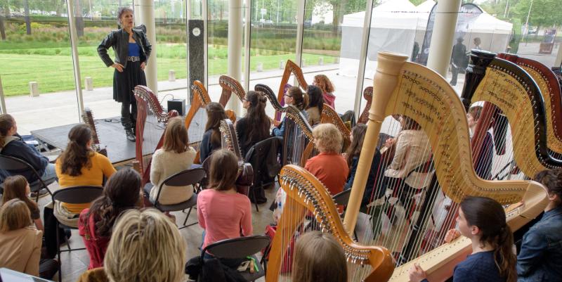 illustration de ''Harpes au max'' : le festival fait vibrer le pays d’Ancenis