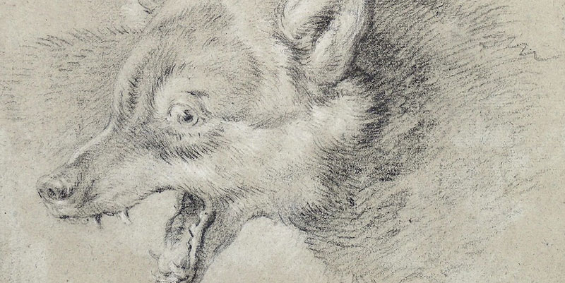 Dessins grande réserve à Orléans