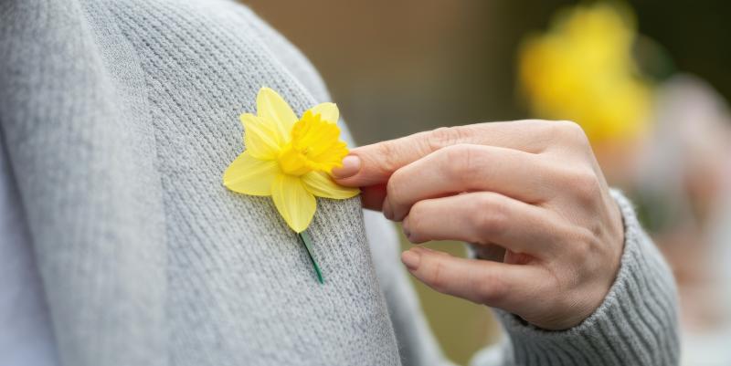 ''Une Jonquille contre le cancer'' : la campagne met l'accent sur les cancers métastatiques