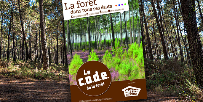 illustration de Le Code de la Forêt