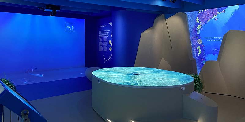 illustration de L'exposition ''Posidonia'' au Cap d'Antibes