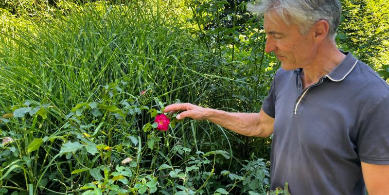 Les jardins de Roquelin : une balade fleurie au bord de la Loire