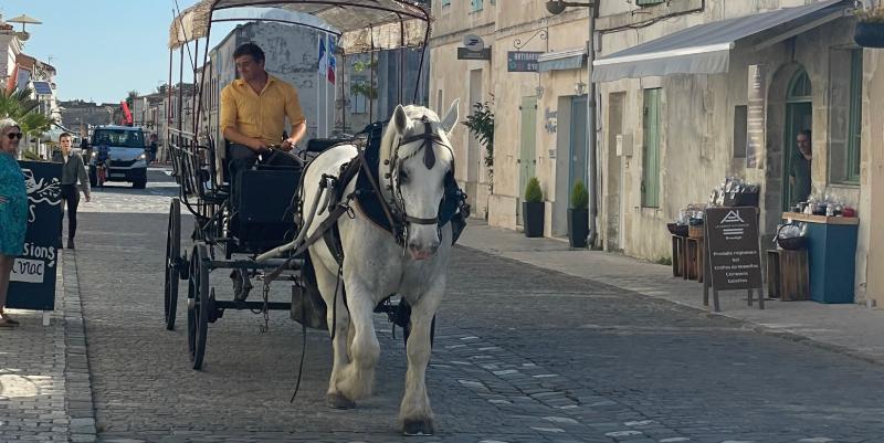 Brouage : reprise des visites guidées dans l'ancienne place forte du littoral charentais