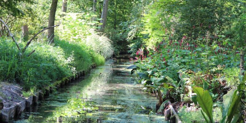 500 variétés de houx à découvrir au Jardin arboretum d'Ilex près d'Orléans