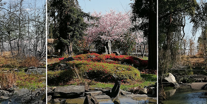 illustration de Les Rendez-vous aux jardins à Pau