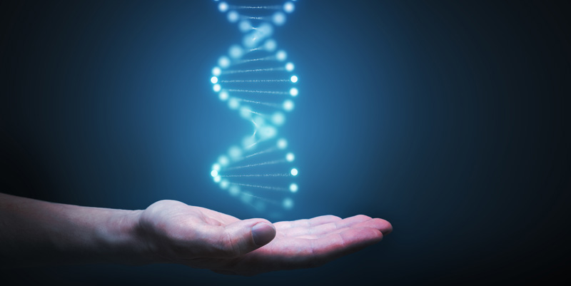 illustration de Tests ADN : Une pratique risquée ? 