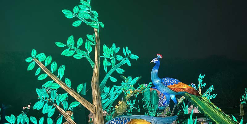 illustration de L'Exposion ''Jungle en voie d'illumination'' à Paris