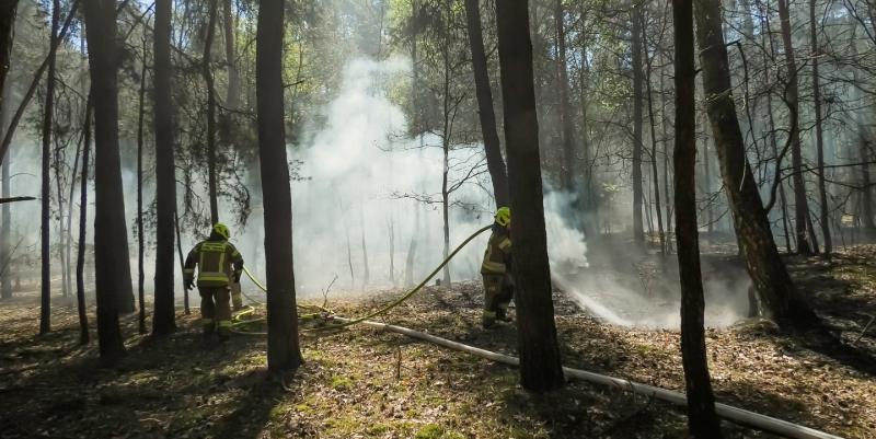 Incendie à Fontainebleau : comment éviter la coupure de l'autoroute A6