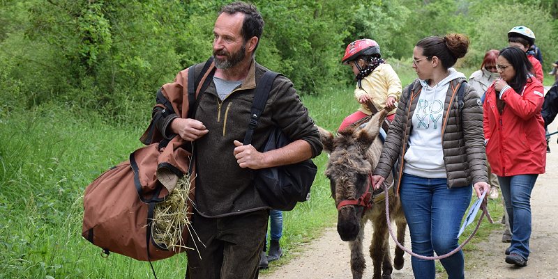 "L'appel de la forêt" entre Tours et Orléans