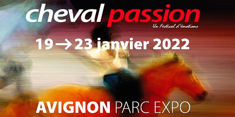 illustration de Cheval Passion à Avignon