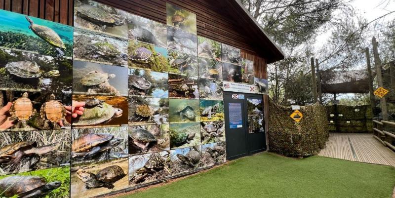 Le village des tortues vous accueille au cœur de la Provence