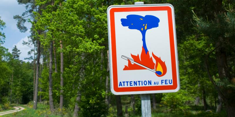 Le risque d'incendie ne faiblit pas : consultez la météo des forêts