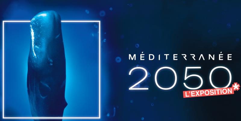 "Méditerranée 2050" : une exposition immersive pour protéger la Grande Bleue à Monaco