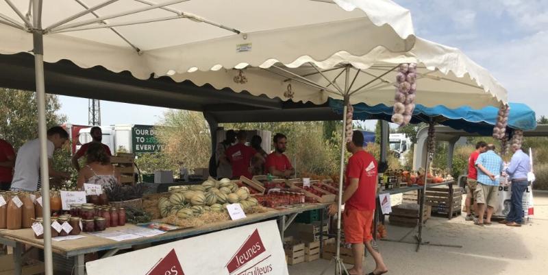 illustration de Aire de Mornas Village sur l'A7 : vente de fraises, melons, ails et cerises ce week-end