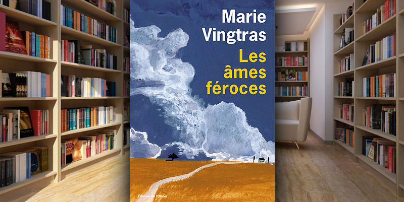 illustration de ''Les âmes féroces'' de Marie Vingtras