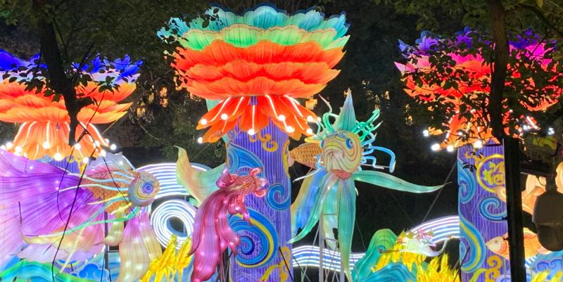 illustration de La culture chinoise s'invite dans le Roussillon