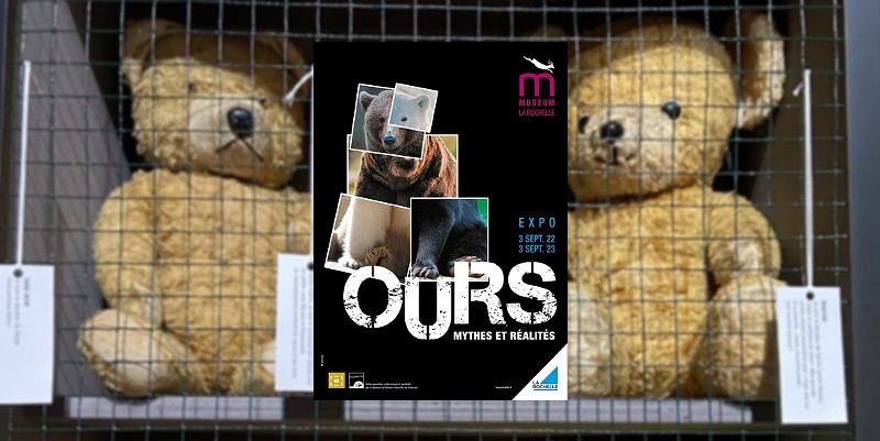 L'ours sous toutes ses formes à la Rochelle