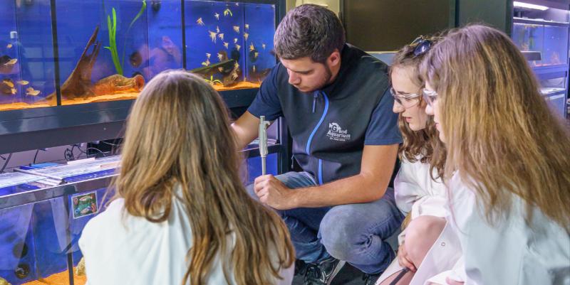 illustration de Soigneur d’un jour : immersion pour petits curieux à l’aquarium de Touraine