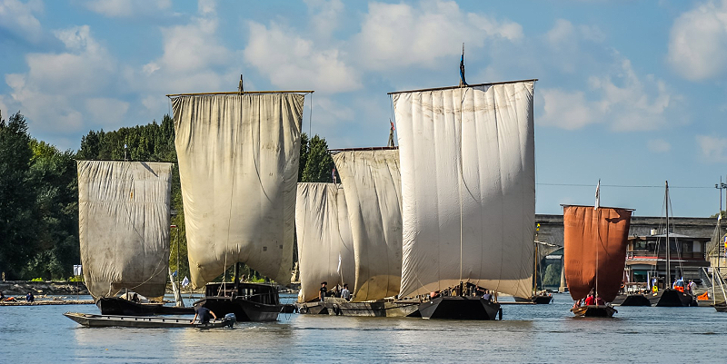 illustration de Le Festival de Loire à Orléans