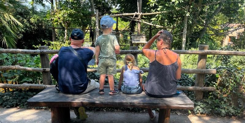 Au Zoo des Sables d'Olonne en Vendée, des rencontres animalières au plus près des visiteurs