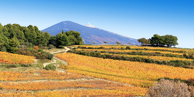 Le festival des saveurs au Ventoux