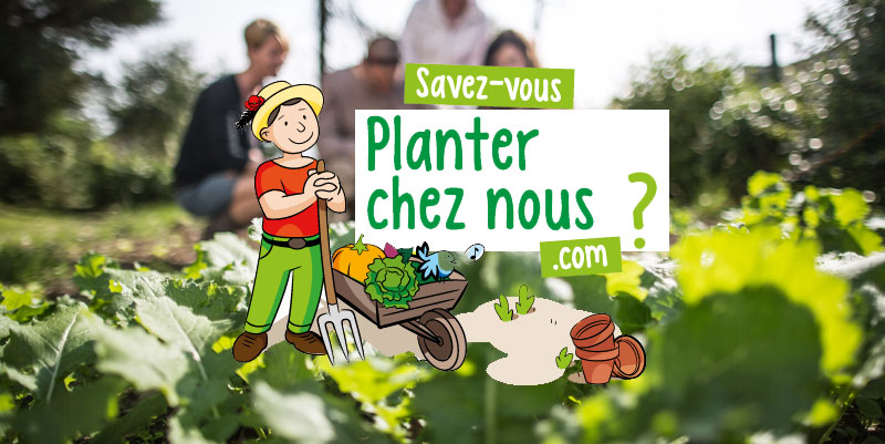 illustration de Plantezcheznous.com : co-cultivons notre jardin !