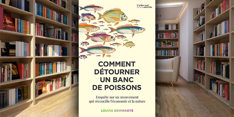 illustration de ''Comment détourner un banc de poissons'' de Louise Browaeys